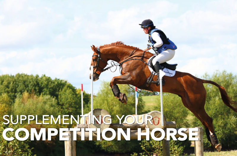 Supplementing Your Competition Horse - Equine Science Matters™